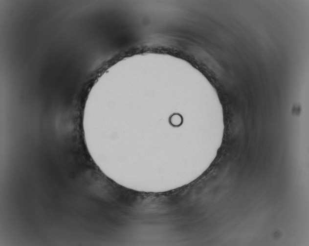 X0000103930824200809261701