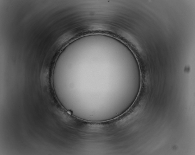 X0000103930825200809261701