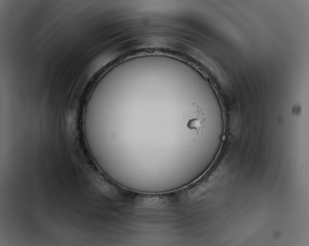 X0000103930826200809261701