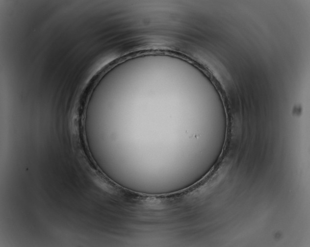 X0000103930827200809261701