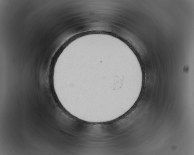 X0000103930828200809261701