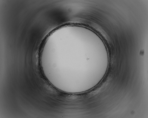 X0000103930829200809261702