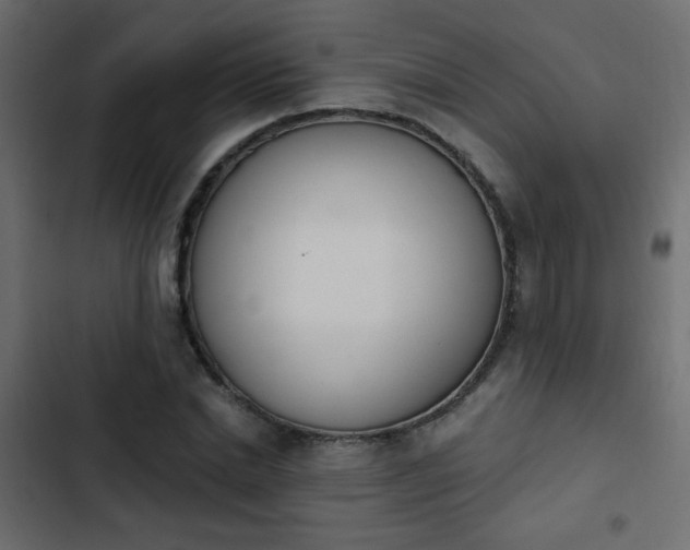 X0000103930830200809261702