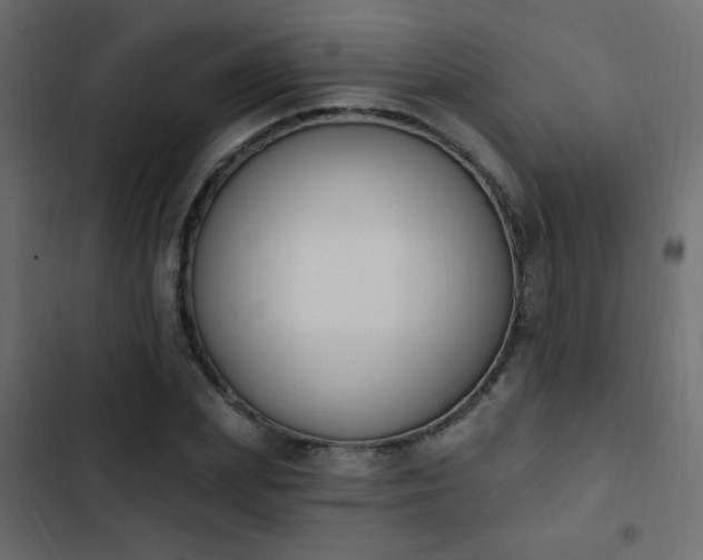 X0000103930831200809261702