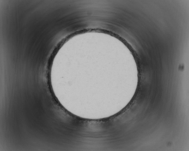 X0000103930832200809261702