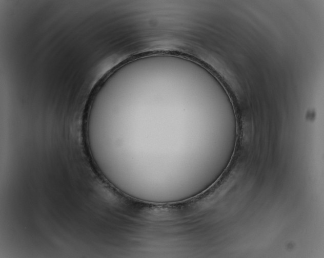 X0000103930834200809261702
