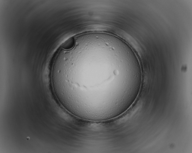 X0000103930835200809261702