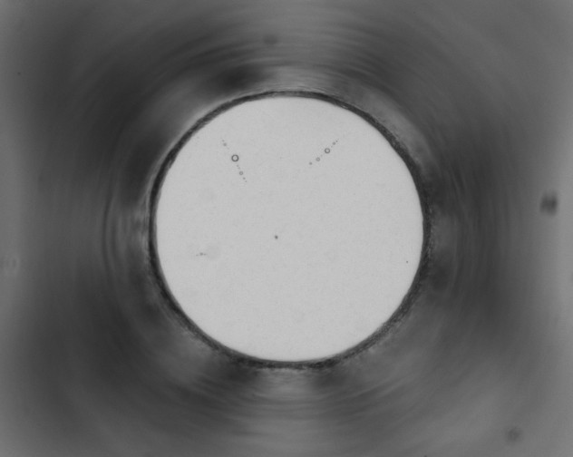 X0000103930836200809261702