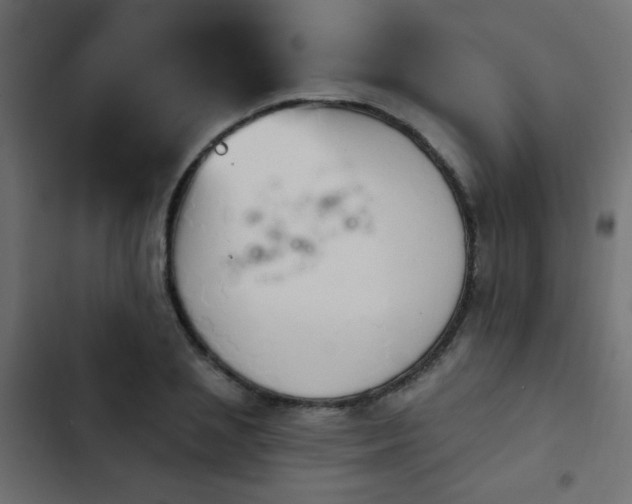 X0000103930837200809261702