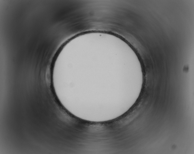 X0000103930838200809261702