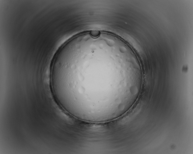 X0000103930839200809261702