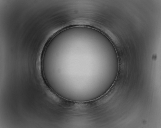 X0000103930840200809261702
