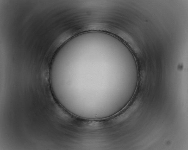 X0000103930841200809261702