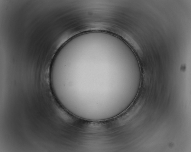 X0000103930842200809261702