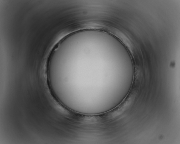 X0000103930843200809261702