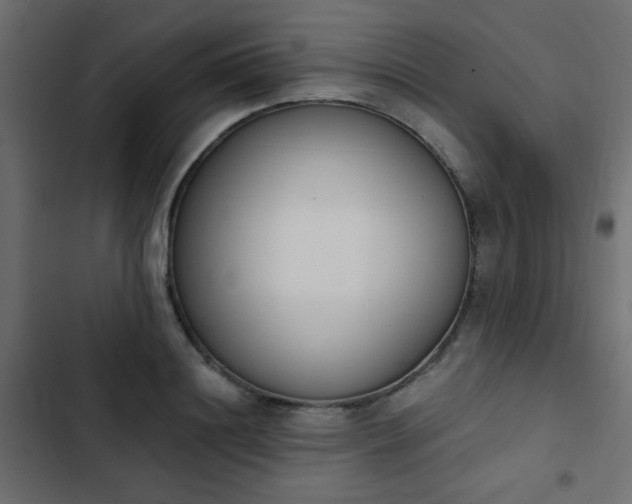X0000103930844200809261702