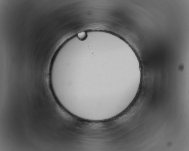 X0000103930845200809261702
