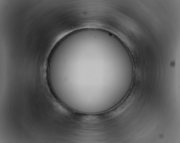 X0000103930846200809261702