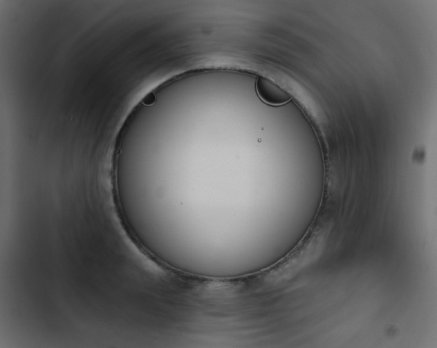 X0000103930847200809261702