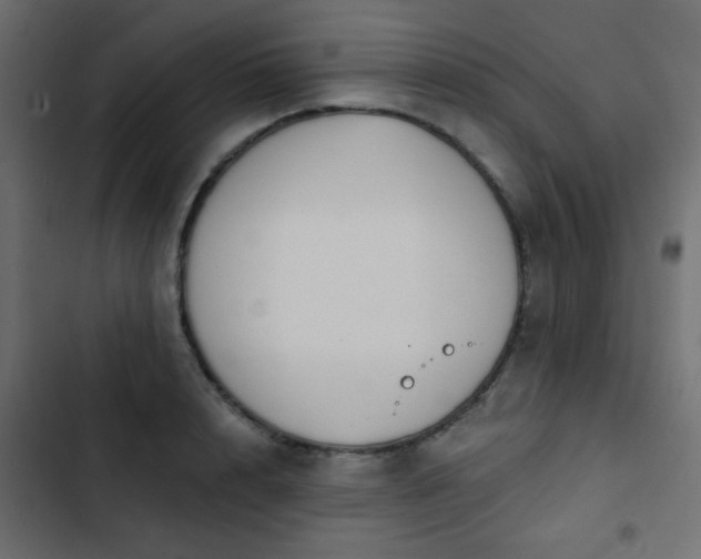 X0000103930848200809261702