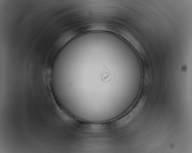 X0000103930849200809261702