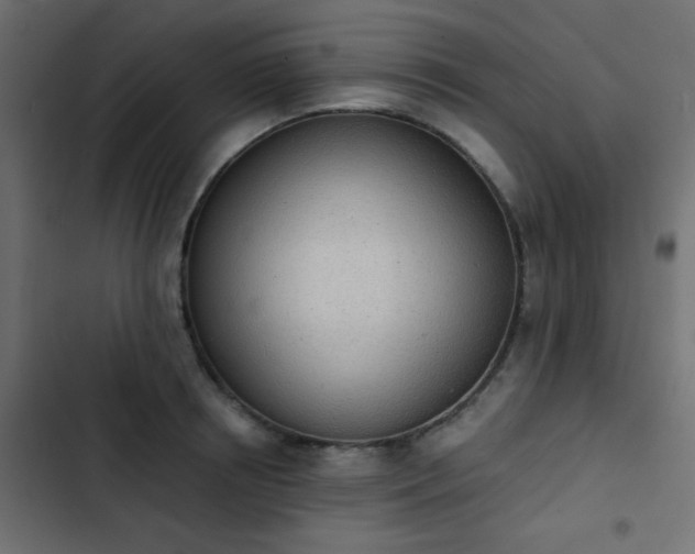 X0000103930850200809261702
