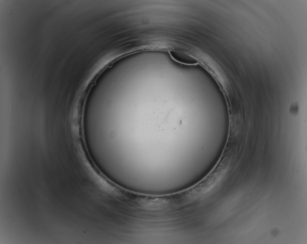 X0000103930851200809261702