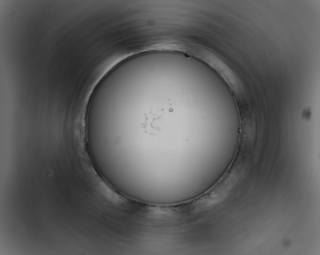 X0000103930852200809261702