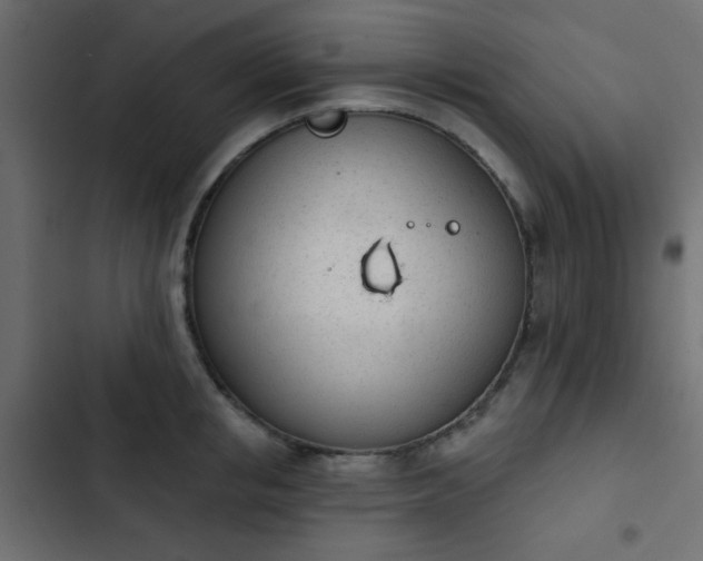 X0000103930853200809261702
