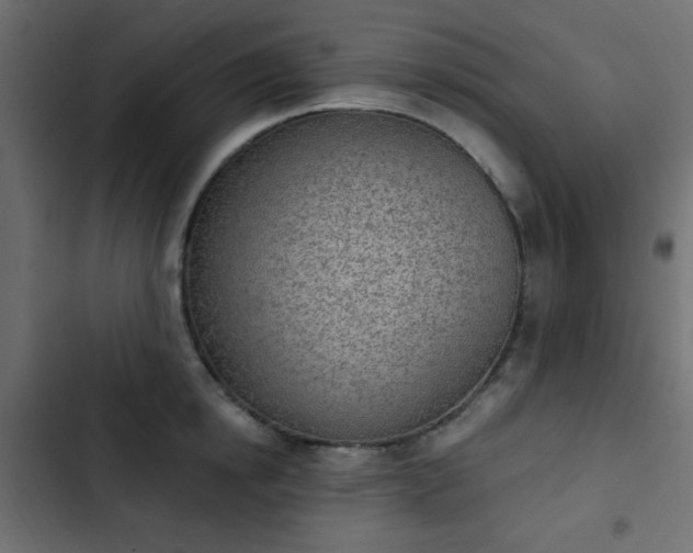 X0000103930854200809261702