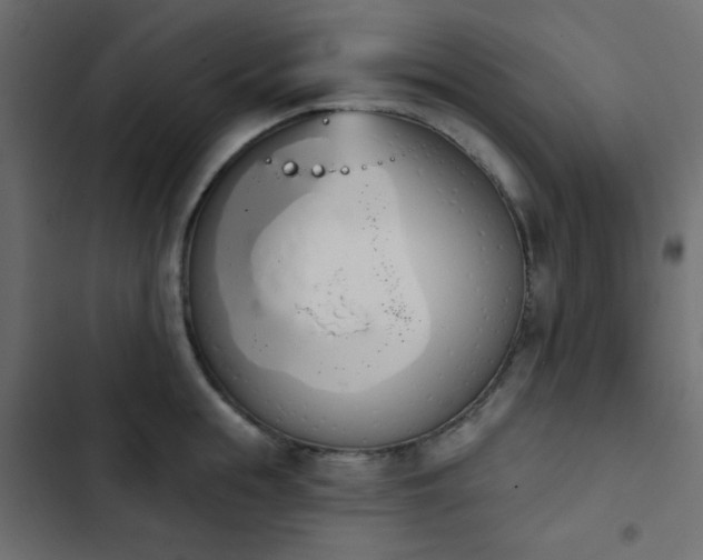 X0000103930855200809261702