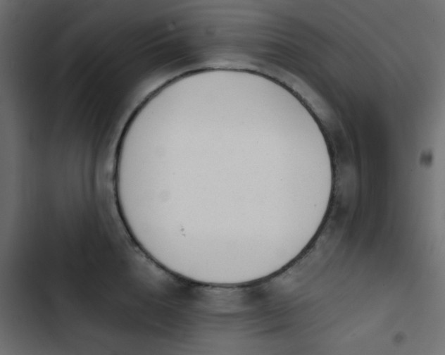 X0000103930856200809261702