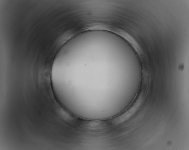 X0000103930857200809261702