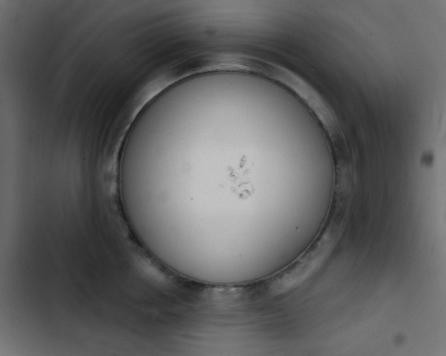 X0000103930858200809261702