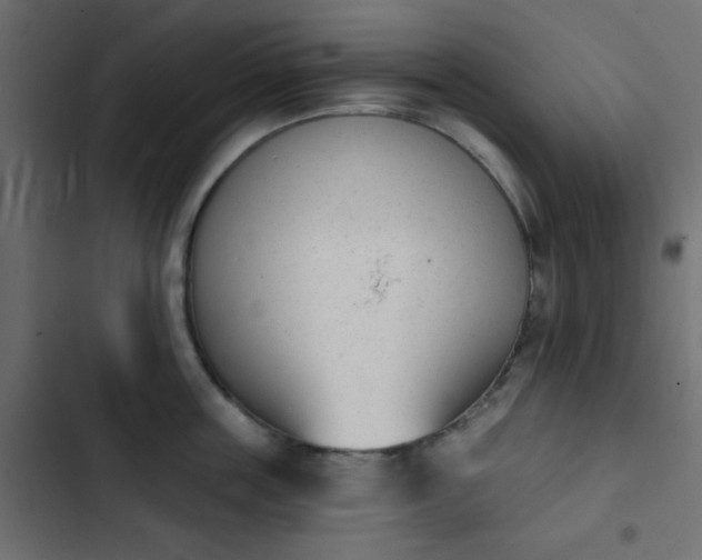 X0000103930859200809261702