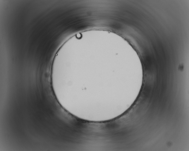 X0000103930860200809261702
