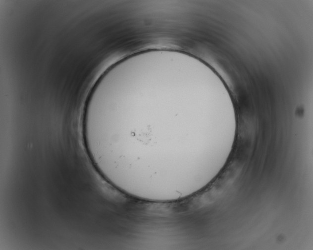 X0000103930861200809261702