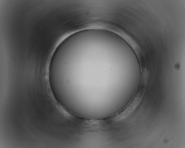 X0000103930862200809261702
