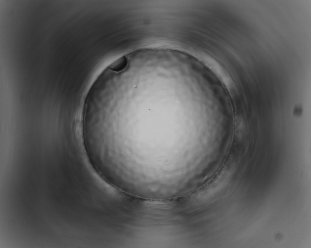 X0000103930863200809261702