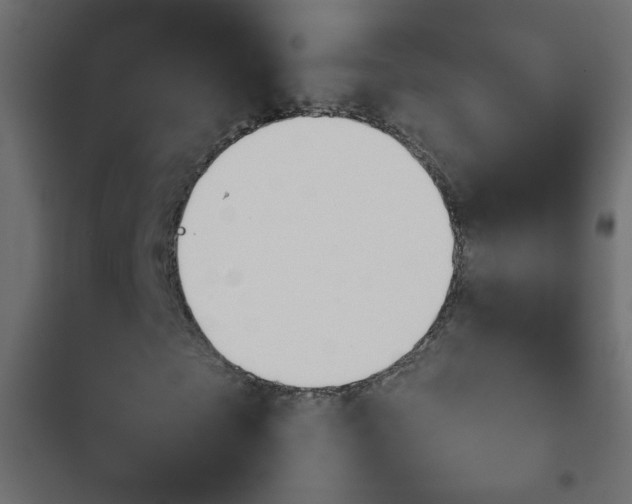 X0000103930865200809261701