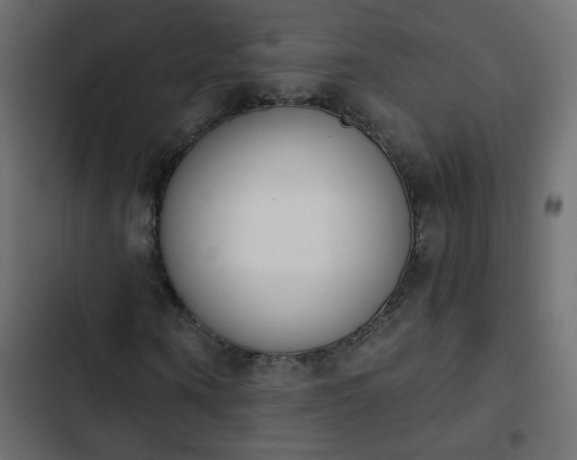 X0000103930866200809261701