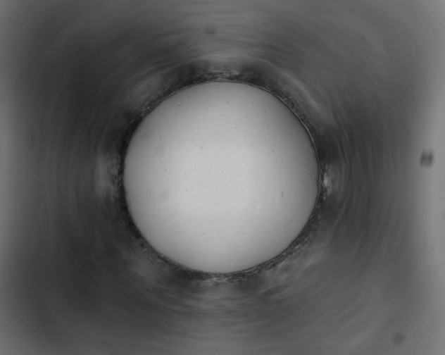 X0000103930867200809261701