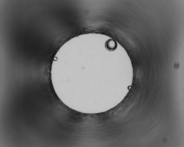 X0000103930868200809261701
