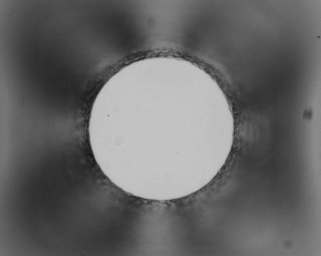 X0000103930869200809261701