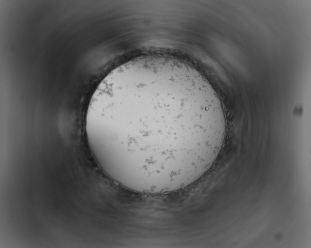 X0000103930870200809261701