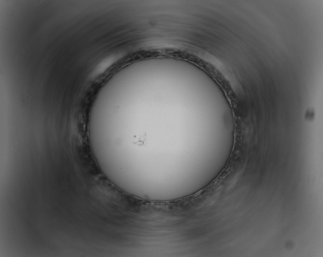 X0000103930871200809261701