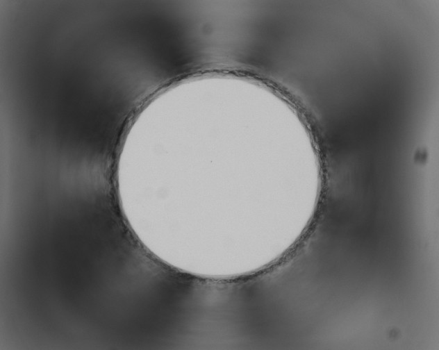 X0000103930873200809261701