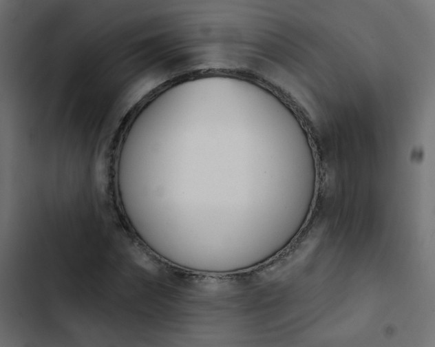 X0000103930874200809261701