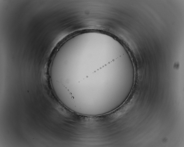 X0000103930875200809261701