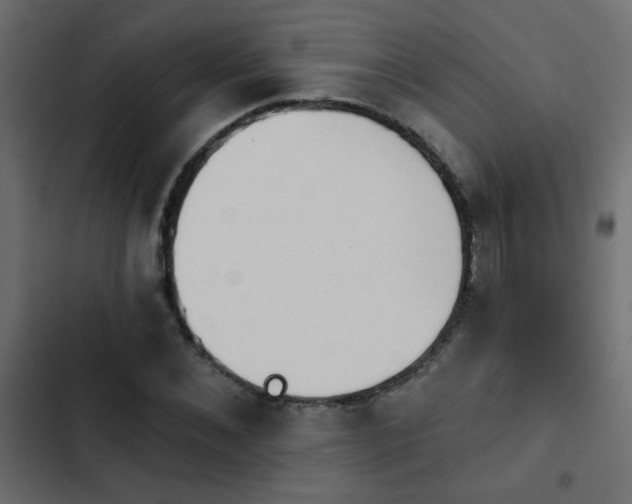 X0000103930876200809261701